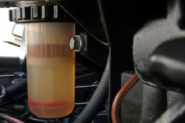 PhotoCap_002.jpg